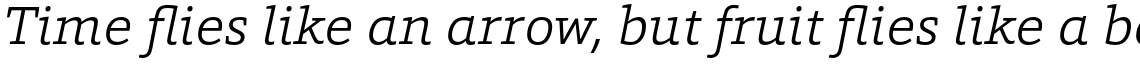 Foro Light Italic