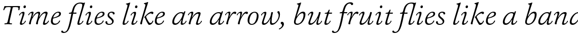 Ashbury Light Italic