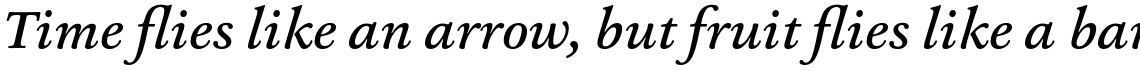 Ashbury Medium Italic