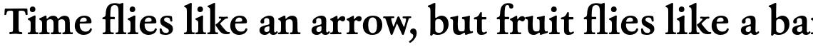 Ashbury Bold