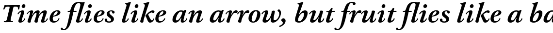Ashbury Bold Italic