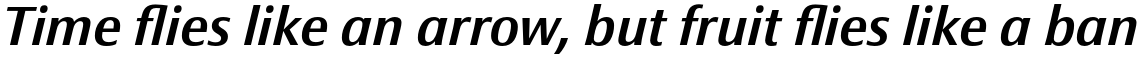 Epoca Classic Medium Italic