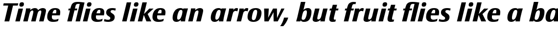 Epoca Classic Bold Italic