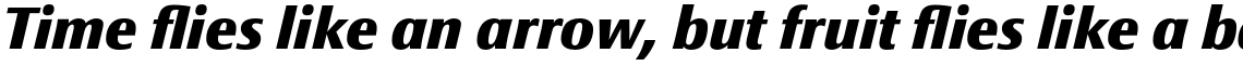 Epoca Classic Extra Bold Italic