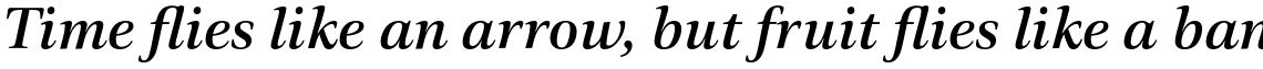 Civita Medium Italic