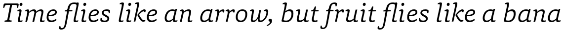 Capita Light Italic