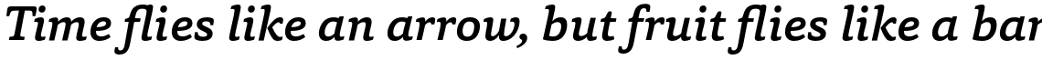 Capita Medium Italic