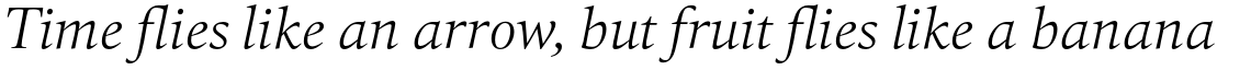 HT Quant Light Italic