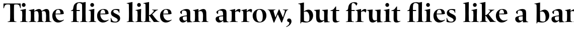 HT Quant Bold