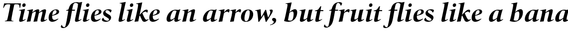 HT Quant Bold Italic