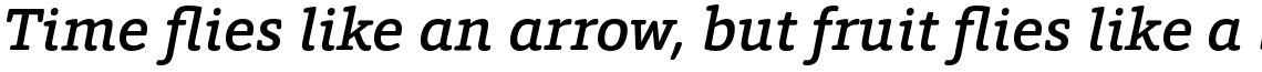 HT Foro Rounded Medium Italic