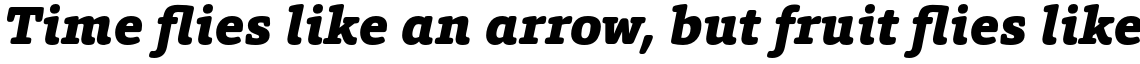 HT Foro Rounded Black italic
