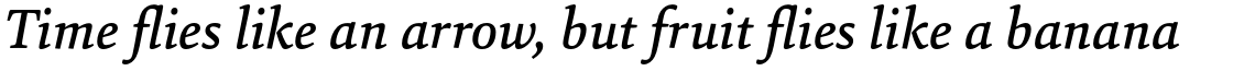 HT Sina Nova Medium Italic