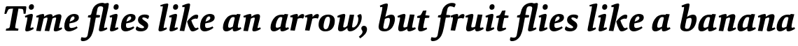 HT Sina Nova Extra Bold Italic