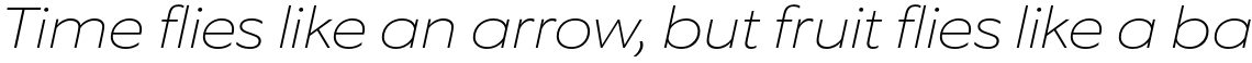Equip Extended Thin Italic