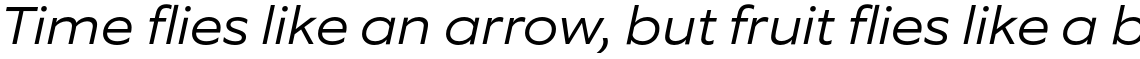 Equip Extended Extra Light Italic