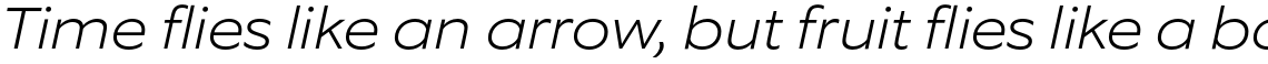 Equip Extended Light Italic
