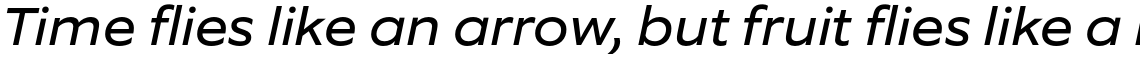 Equip Extended Italic