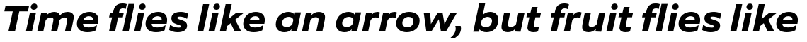 Equip Extended Bold Italic
