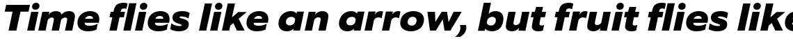 Equip Extended Extra Bold Italic