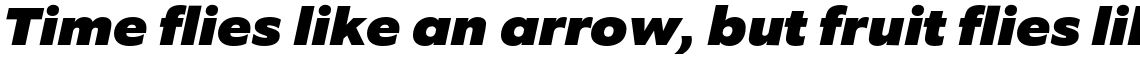 Equip Extended Black Italic