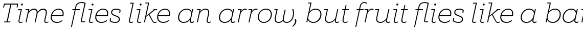Equip Slab Thin Italic