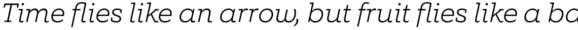 Equip Slab Extra Light Italic