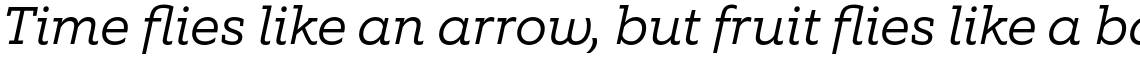 Equip Slab Light Italic