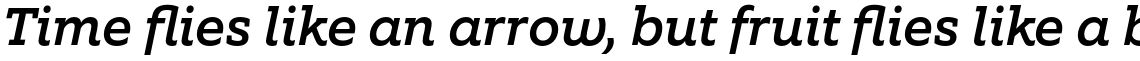 Equip Slab Medium Italic
