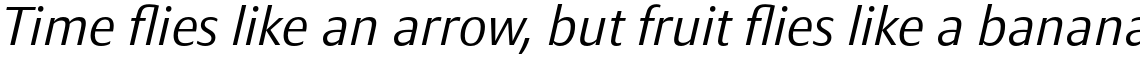 Taxon Light Italic