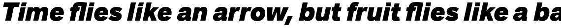 Urania Ultra Italic