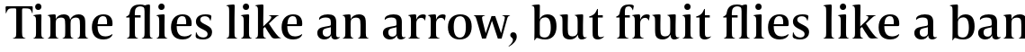Candide Medium