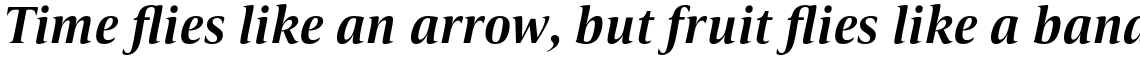 Candide Bold Italic