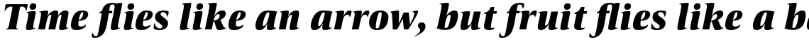 Candide Heavy Italic