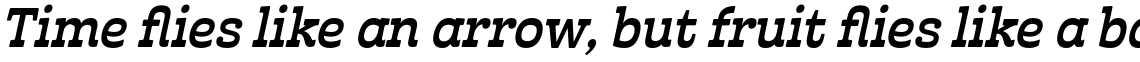 Cabrito Inverto Book Italic