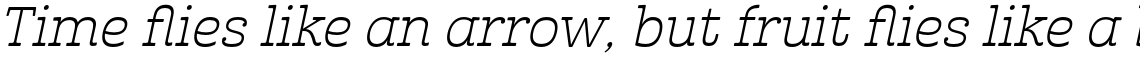 Cabrito Inverto Extended Book Italic