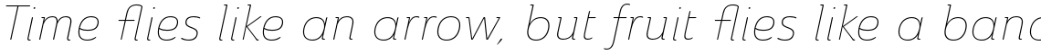 Ainslie Thin Italic
