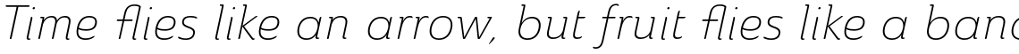 Ainslie Light Italic