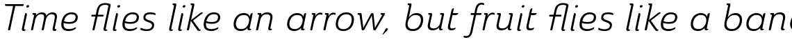 Ainslie Book Italic
