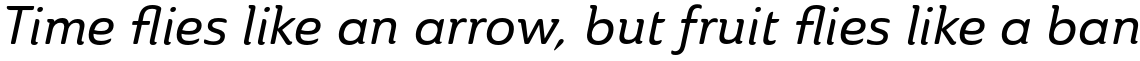 Ainslie Medium Italic