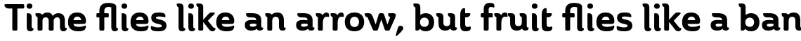 Ainslie Bold