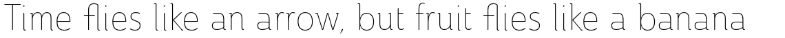 Ainslie Condensed Thin