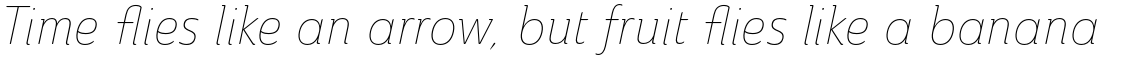 Ainslie Condensed Thin Italic