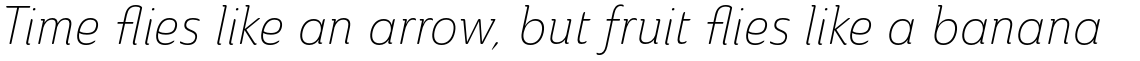 Ainslie Condensed Light Italic