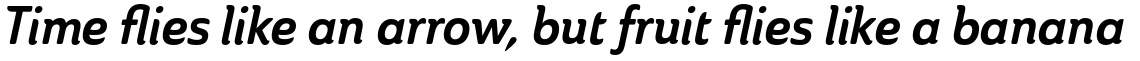 Ainslie Condensed Bold Italic
