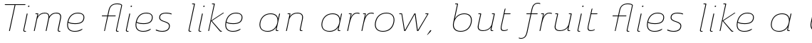 Ainslie Extended Thin Italic