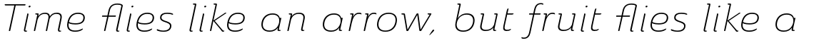 Ainslie Extended Light Italic