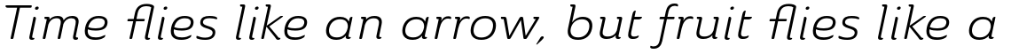 Ainslie Extended Book Italic