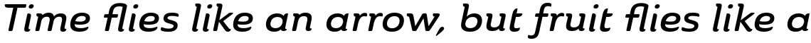 Ainslie Extended Demi Italic