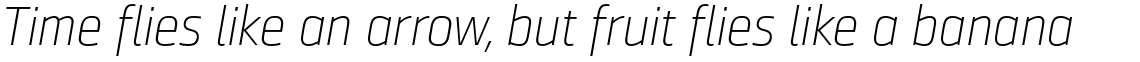 Ranelte Normal Thin Italic